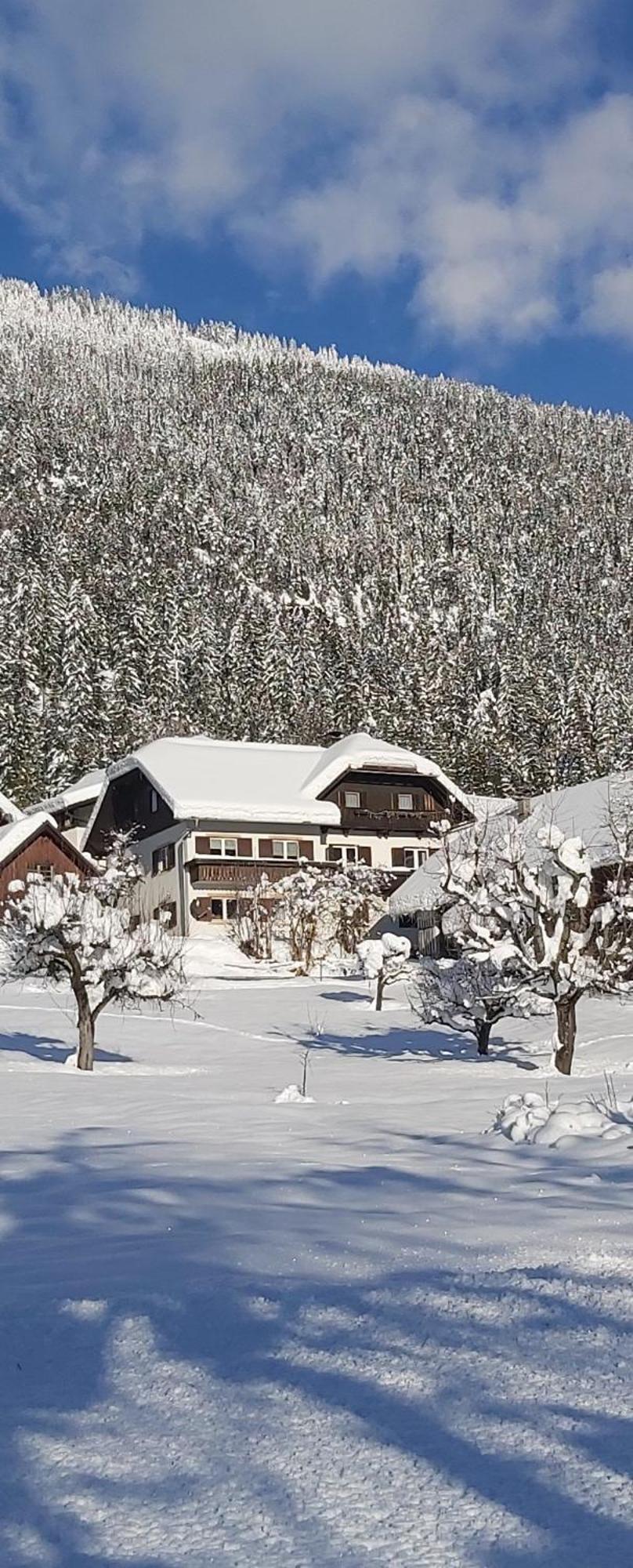 Apartament Haus Binder Weissensee Zewnętrze zdjęcie