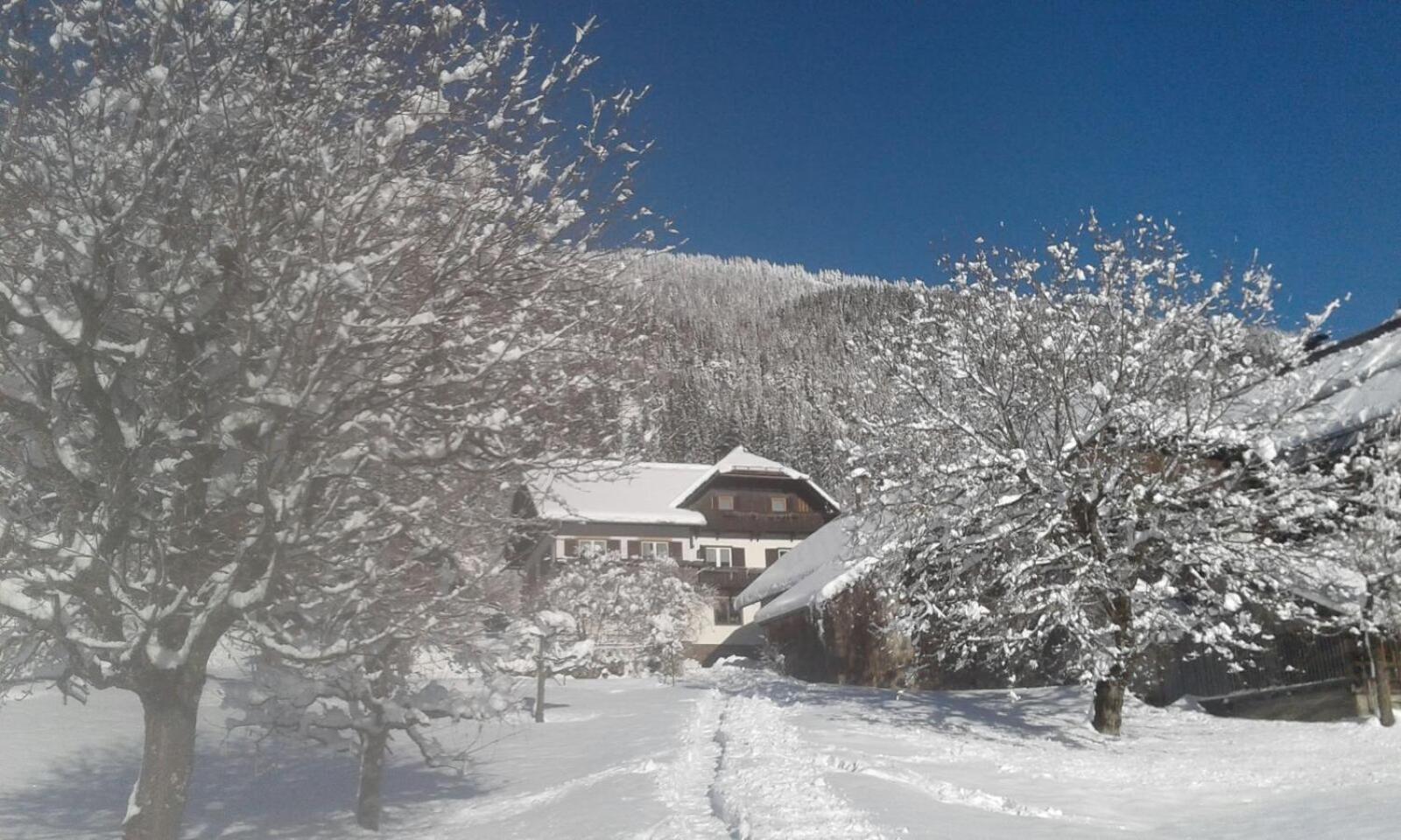Apartament Haus Binder Weissensee Zewnętrze zdjęcie